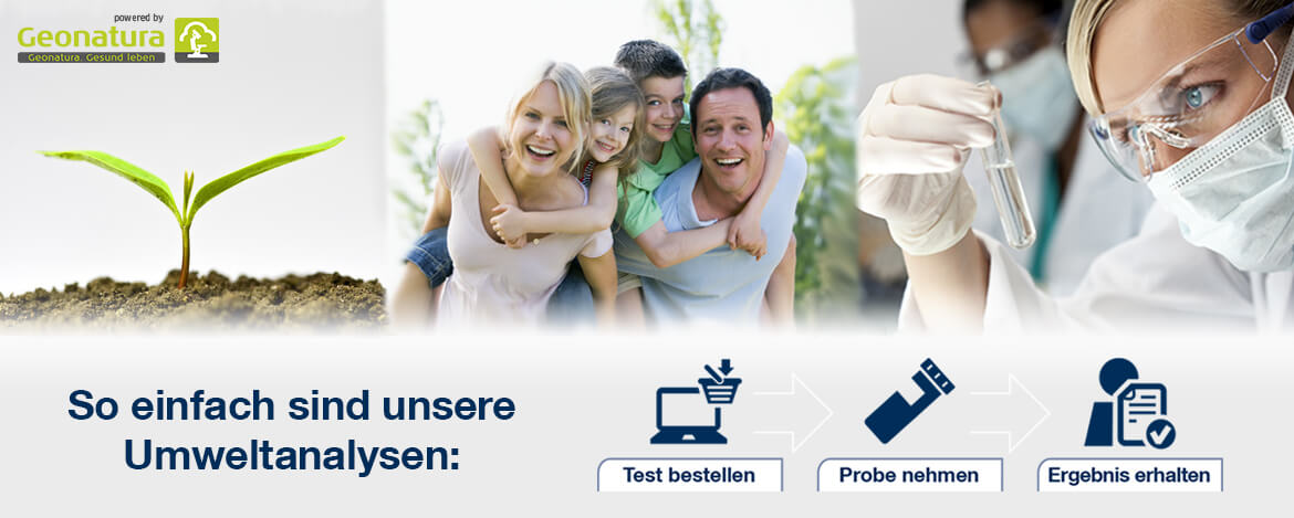 Umweltanalysen Umweltanalysen